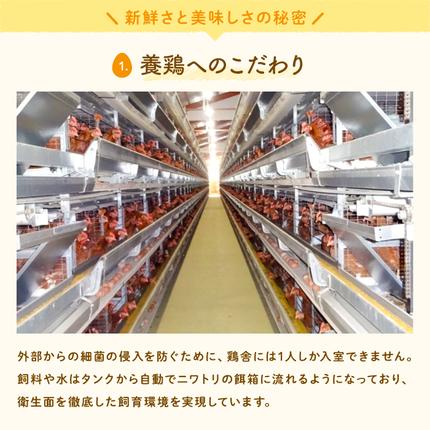 茨城県行方市のふるさと納税 U-4 ◆3ヵ月定期便◆ 黄身がしっかり濃厚な卵【アスタの恵み】50個×3