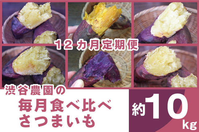茨城県行方市のふるさと納税 【12ヶ月定期便】渋谷農園の毎月食べ比べさつまいも 約10kg｜さつまいも サツマイモ さつま芋 お芋 食べ比べ 定期便 毎月 紅はるか きみまろこ シルクスイート 栗かぐや 渋谷農園 さつまいも博 茨城県産 茨城県 行方市(BZ-22)