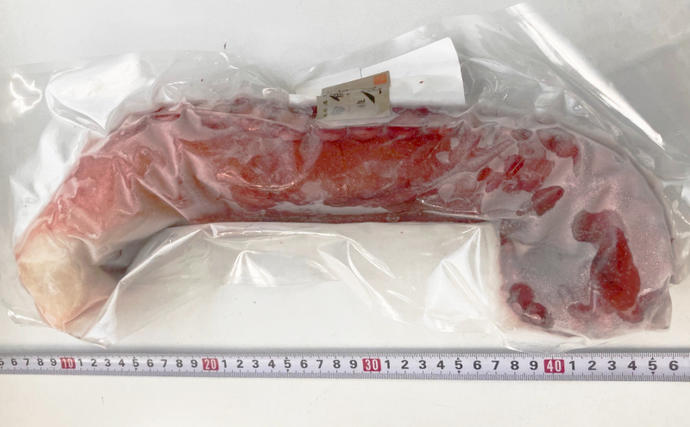 オホーツク枝幸 浜茹でボイル たこ足 2本 計1.4kg 冷凍 極太［山上佐藤