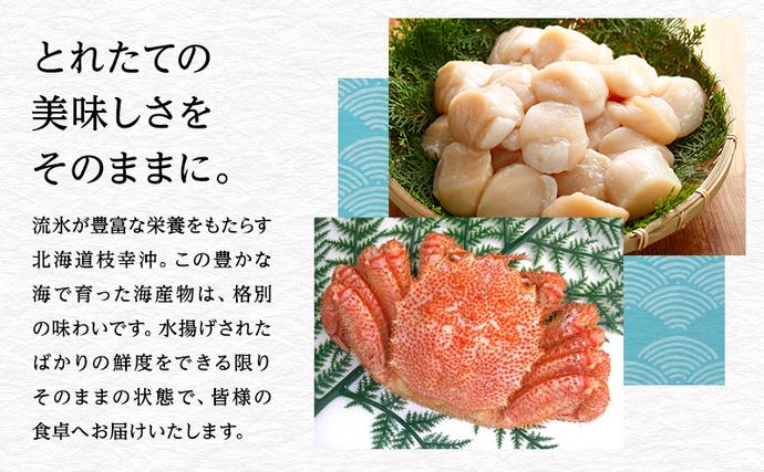 浜茹でボイル冷凍たこ足 約1.2kg［オホーツク枝幸産］山上佐藤水産