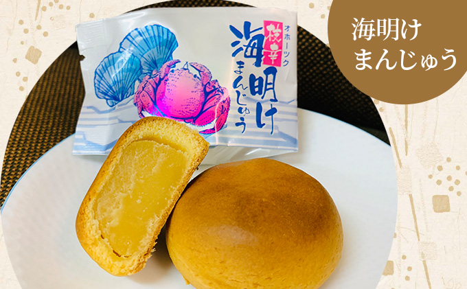 北海道枝幸町のふるさと納税 老舗 野崎菓子店の和菓子詰合せ「枝幸 三笠山」【 お菓子 まんじゅう 饅頭 お菓子 もなか 最中 北海道 オホーツク 枝幸 】