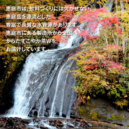 北海道恵庭市のふるさと納税 からだすこやか茶W＋ 350mlPET×24本【38003102】