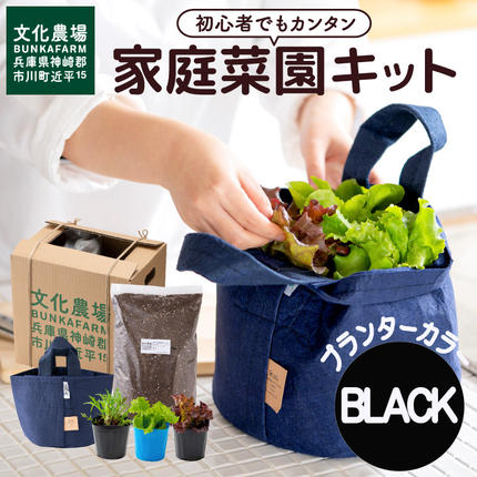 はじめての家庭菜園キット「サラダガーデン」(プランター色:ブラック)