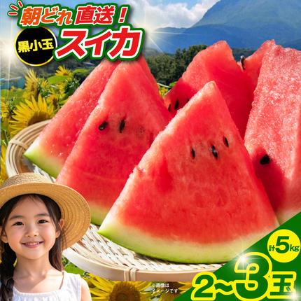 長崎県島原市のふるさと納税 BE275 【令和8年度出荷分】 黒小玉スイカ「ひとりじめBonBon」 5kg(1.7kg以上×2～3玉) ～名水百選の里 島原産～ [ Bunkou Farms 島原 合同会社 島原市 ]
