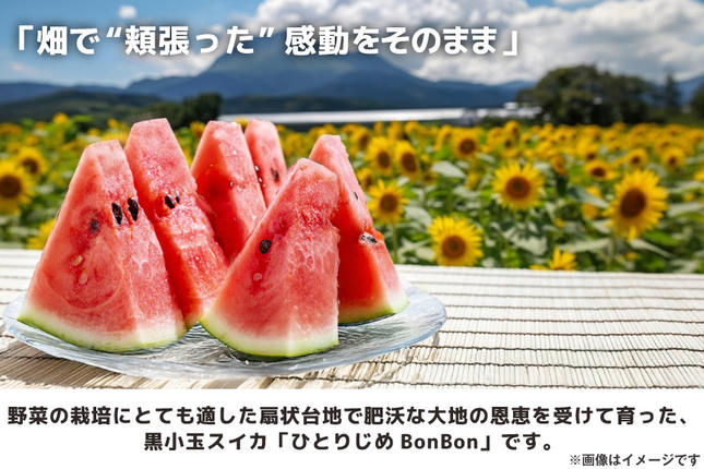 長崎県島原市のふるさと納税 BE275 【令和8年度出荷分】 黒小玉スイカ「ひとりじめBonBon」 5kg(1.7kg以上×2～3玉) ～名水百選の里 島原産～ [ Bunkou Farms 島原 合同会社 島原市 ]