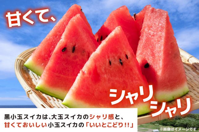 長崎県島原市のふるさと納税 BE275 【令和8年度出荷分】 黒小玉スイカ「ひとりじめBonBon」 5kg(1.7kg以上×2～3玉) ～名水百選の里 島原産～ [ Bunkou Farms 島原 合同会社 島原市 ]