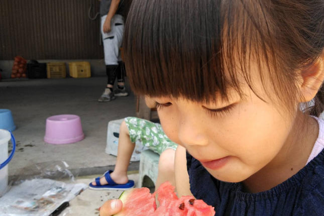 長崎県島原市のふるさと納税 BE275 【令和8年度出荷分】 黒小玉スイカ「ひとりじめBonBon」 5kg(1.7kg以上×2～3玉) ～名水百選の里 島原産～ [ Bunkou Farms 島原 合同会社 島原市 ]