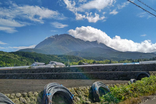 長崎県島原市のふるさと納税 BE275 【令和8年度出荷分】 黒小玉スイカ「ひとりじめBonBon」 5kg(1.7kg以上×2～3玉) ～名水百選の里 島原産～ [ Bunkou Farms 島原 合同会社 島原市 ]