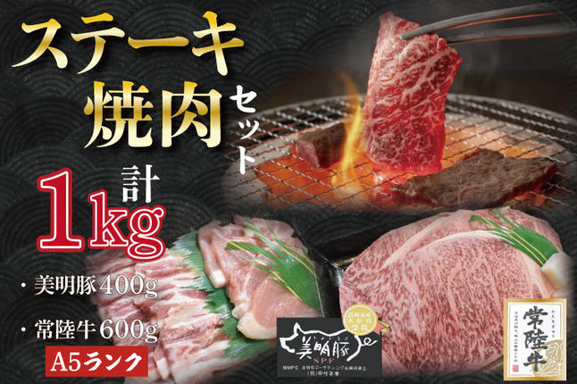茨城県行方市のふるさと納税 DT-38【常陸牛A5ランク・美明豚ステーキ焼肉セット】常陸牛サーロイン600ｇ（300ｇ×２枚）＋美明豚400ｇ（ロース200ｇ・ばら200ｇ）