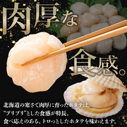 北海道弟子屈町のふるさと納税 3384. ホタテ 500g ほたて 帆立 海鮮 玉冷 刺身 おつまみ 酒の肴 魚介 ほたて貝柱 送料無料 北海道 弟子屈町