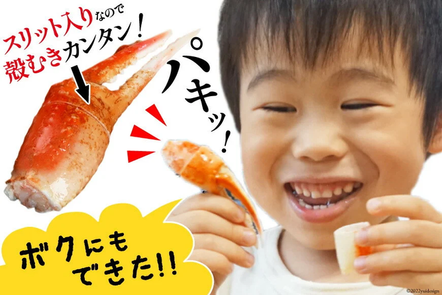 宮城県気仙沼市のふるさと納税 リピーター続出！ 本ずわいがに爪 約700g [カネダイ 宮城県 気仙沼市 20564321] 蟹 かに カニ ずわいがに ズワイガニ ずわい蟹 ズワイ蟹 ずわい ズワイ 蟹 カニ爪 蟹爪 カニ爪肉 つめ 爪 ボイル