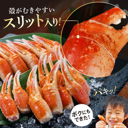宮城県気仙沼市のふるさと納税 リピーター続出！ 本ずわいがに爪 約700g [カネダイ 宮城県 気仙沼市 20564321] 蟹 かに カニ ずわいがに ズワイガニ ずわい蟹 ズワイ蟹 ずわい ズワイ 蟹 カニ爪 蟹爪 カニ爪肉 つめ 爪 ボイル