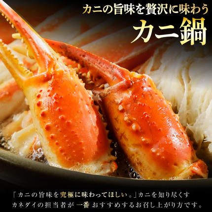 宮城県気仙沼市のふるさと納税 リピーター続出！ 本ずわいがに爪 約700g [カネダイ 宮城県 気仙沼市 20564321] 蟹 かに カニ ずわいがに ズワイガニ ずわい蟹 ズワイ蟹 ずわい ズワイ 蟹 カニ爪 蟹爪 カニ爪肉 つめ 爪 ボイル