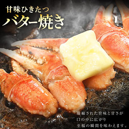 宮城県気仙沼市のふるさと納税 リピーター続出！ 本ずわいがに爪 約700g [カネダイ 宮城県 気仙沼市 20564321] 蟹 かに カニ ずわいがに ズワイガニ ずわい蟹 ズワイ蟹 ずわい ズワイ 蟹 カニ爪 蟹爪 カニ爪肉 つめ 爪 ボイル