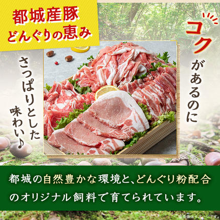 宮崎県都城市のふるさと納税 「どんぐりの恵み豚」キャンプ飯3.6kgセット_17-1104