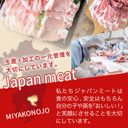 宮崎県都城市のふるさと納税 「どんぐりの恵み豚」キャンプ飯3.6kgセット_17-1104