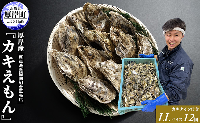 北海道厚岸町のふるさと納税 厚岸産 ブランドかき カキえもん LLサイズ 12個  牡蠣 魚介類