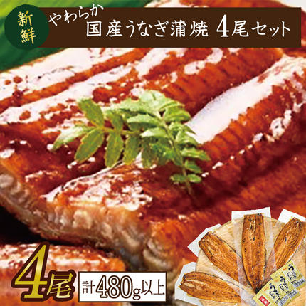 茨城県行方市のふるさと納税 やわらか国内産うなぎ蒲焼満足サイズ！120～140g 4尾　計480g以上|うなぎ 鰻 蒲焼 満足 茨城県 行方市(AD-83-1)