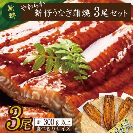 茨城県行方市のふるさと納税 やわらか国内産うなぎ蒲焼き！ 食べ切りサイズ100～120g 3尾　計300g以上|うなぎ 鰻 蒲焼 食べ切り 茨城県 行方市(AD-105-1)