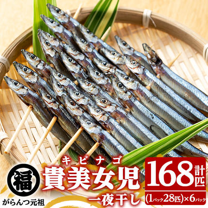 １点限定！丸干しB品箱込み7キロ 貴美女児一夜干し(計168匹・28匹×6パック)国産 干物 ひもの キビナゴ