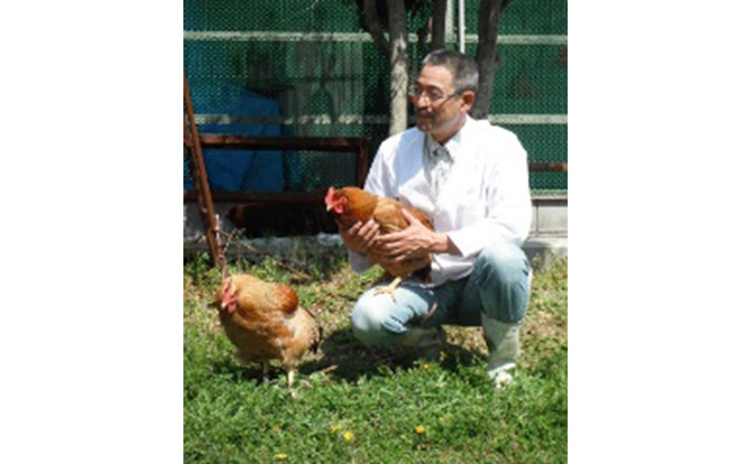 岐阜県海津市のふるさと納税 神代の味 奥美濃古地鶏肉セット お肉 モモ むね肉 もも肉 冷凍 オレイン酸 まろやか