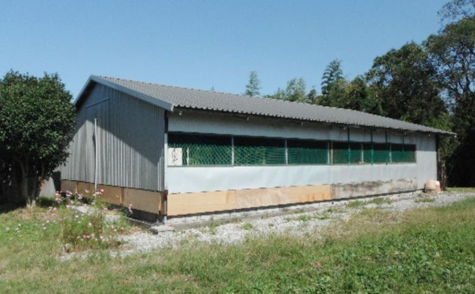 岐阜県海津市のふるさと納税 神代の味 奥美濃古地鶏肉セット お肉 モモ むね肉 もも肉 冷凍 オレイン酸 まろやか