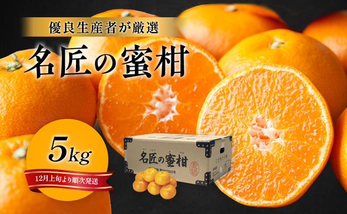 静岡県浜松市のふるさと納税 特秀 名匠のみかん S～Mサイズ 5kg【配送不可：離島】果物 くだもの フルーツ 旬の果物 旬のフルーツ みかん 蜜柑 ミカン 柑橘 柑橘類 秀品 静岡 静岡県 浜松市