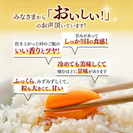 佐賀県神埼市のふるさと納税 【令和7年産】さがびより 精米 10kg【特A受賞米 米 5kg×2袋 お米 コメ こめ 国産 美味しい ブランド米 人気 ランキング 増田米穀】(H015212)