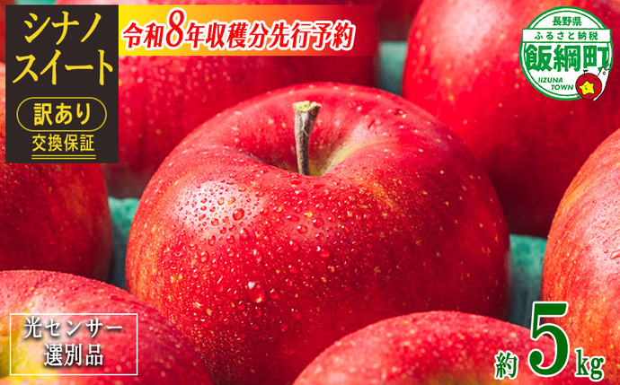 長野県飯綱町のふるさと納税 【 感謝りんご / 光センサー選別品 】 りんご シナノスイート 訳あり 5kg （ 12玉 〜 25玉 ） 交換保証 ながの農業協同組合 2026年10月上旬頃から2026年11月上旬頃まで順次発送予定 令和8年度収穫分 傷 不揃い リンゴ 林檎 果物 フルーツ 信州 長野 12000円 予約 長野県 飯綱町 [1205]
