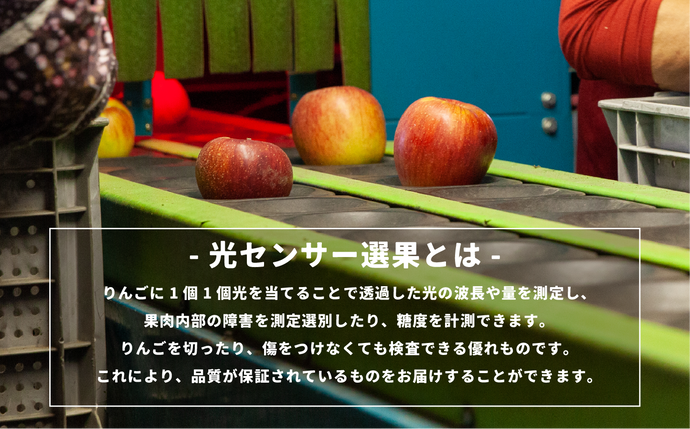 長野県飯綱町のふるさと納税 【 感謝りんご / 光センサー選別品 】 りんご シナノスイート 訳あり 5kg （ 12玉 〜 25玉 ） 交換保証 ながの農業協同組合 2026年10月上旬頃から2026年11月上旬頃まで順次発送予定 令和8年度収穫分 傷 不揃い リンゴ 林檎 果物 フルーツ 信州 長野  予約 長野県 飯綱町 [1205]