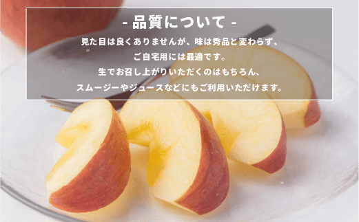 長野県飯綱町のふるさと納税 【 感謝りんご / 光センサー選別品 】 りんご シナノスイート 訳あり 5kg （ 12玉 〜 25玉 ） 交換保証 ながの農業協同組合 2026年10月上旬頃から2026年11月上旬頃まで順次発送予定 令和8年度収穫分 傷 不揃い リンゴ 林檎 果物 フルーツ 信州 長野  予約 長野県 飯綱町 [1205]