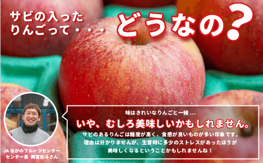 長野県飯綱町のふるさと納税 【 感謝りんご / 光センサー選別品 】 りんご シナノスイート 訳あり 5kg （ 12玉 〜 25玉 ） 交換保証 ながの農業協同組合 2026年10月上旬頃から2026年11月上旬頃まで順次発送予定 令和8年度収穫分 傷 不揃い リンゴ 林檎 果物 フルーツ 信州 長野  予約 長野県 飯綱町 [1205]