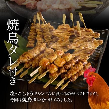 愛知県小牧市のふるさと納税 名古屋コーチン焼鳥　5種20本セット（もも・むね・手羽中・皮・つくね）[001T02]