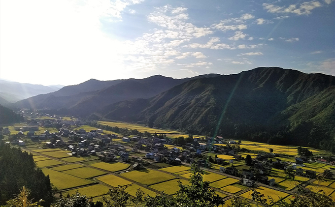 新潟県魚沼市のふるさと納税 生産者直送！魚沼産コシヒカリ【雪里米 ふるさとまい】 精米3kg×2 6ヶ月連続お届け お米 ライス ご飯 主食 新潟県産 産地直送 定期便 半年 6回