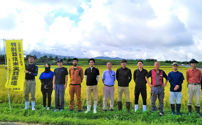 新潟県魚沼市のふるさと納税 生産者直送！魚沼産コシヒカリ【雪里米 ふるさとまい】 精米3kg×2 6ヶ月連続お届け お米 ライス ご飯 主食 新潟県産 産地直送 定期便 半年 6回