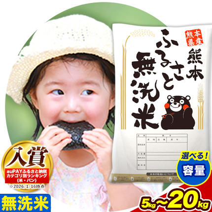 無洗米 訳あり 家庭用 熊本ふるさと 無洗