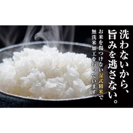 熊本県御船町のふるさと納税 無洗米 訳あり 家庭用 熊本ふるさと 無洗 米 選べる内容量 5kg 10kg 20kg 無洗米 米 コメ 熊本県産《1-5日以内に出荷予定(土日祝除く)》 洗わず コロナ おうちご飯 お米 おこめ 送料無料 熊本 御船 ライス SDGs ふるさと無洗米