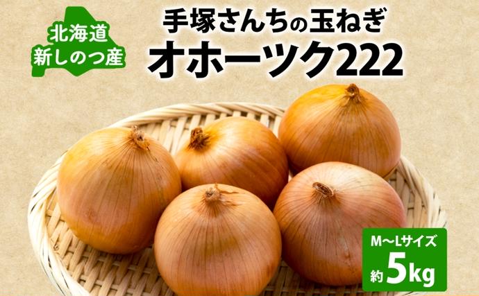 玉葱 北海道 新しのつ産 手塚さんちのたまねぎ M～Lサイズ 約5kg オホーツク