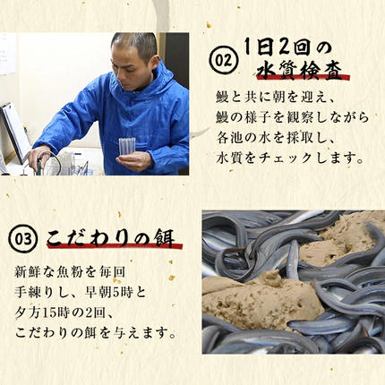鹿児島県志布志市のふるさと納税 【お礼の品人気No1】霧島湧水鰻の蒲焼き 140g以上×5尾＜計700g以上＞ b0-219-yy