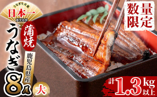 鹿児島県産 伊崎田のうなぎ蒲焼 大[170g以上]× 8尾(計1.3kg以上)e4-005