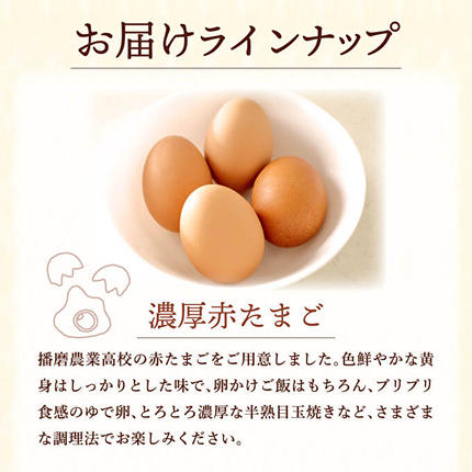 兵庫県加西市のふるさと納税 加西えぇもん『極上卵かけごはんボリュームセット』 お米 醤油 しょうゆ