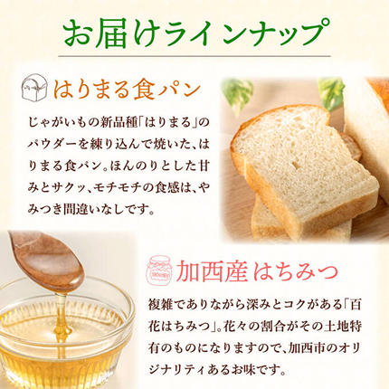 兵庫県加西市のふるさと納税 笑顔あふれる『播磨特選モーニングセット』 パン 食パン 卵 野菜 詰合せ