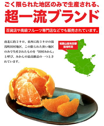 和歌山県湯浅町のふるさと納税 U6241n_【2026年先行予約】「高級 田村みかん」 青秀 約5kg Sサイズ 和歌山県有田産 有田みかん