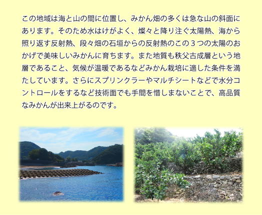 和歌山県湯浅町のふるさと納税 U6241n_【2026年先行予約】「高級 田村みかん」 青秀 約5kg Sサイズ 和歌山県有田産 有田みかん