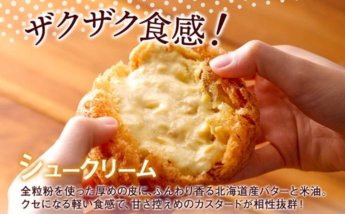 北海道 シュークリーム 2個入り×4袋 計8個 個包装 カスタード クリーム
