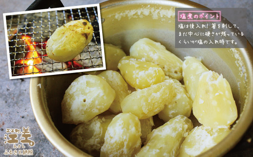 北海道江差町のふるさと納税 【早期予約：2026年7月頃～順次出荷予定】砂質土育ち「夏」メークイン M・L混合5kg　露地もの　手掘り　江差産メークイン　北海道のじゃがいも　芋の塩煮　肉じゃが　カレー　シチュー　コロッケ　色々なお料理に　北海道産