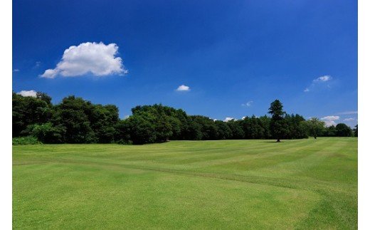 茨城県坂東市のふるさと納税 No.060 【坂東ゴルフクラブ】ゴルフ場利用券3000円分（寄付金額の3割相当額分） ／ ゴルフ golf GOLF ごるふ ゴルフ場 チケット ちけっと 体験 プレー券 利用券 ゴルフ場利用券 都心から1時間 アクセス抜群 好立地 茨城県