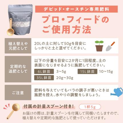 イングリッシュローズ】 デビッド・オースチン バラ鉢苗 （バラ専用