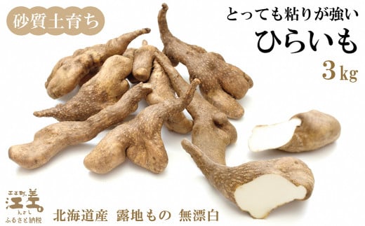 北海道江差町のふるさと納税 北海道産 ひらいも  3kg　砂質土育ち とっても粘りが強い 北海道の山芋　もちもち食感　露地もの　無漂白　ねばり芋　やまと芋　長芋　自然薯　山かけ　とろろ　いももち　豚汁