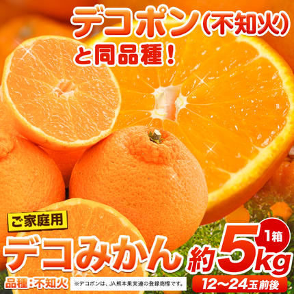 ご家庭用 デコみかん 約5kg 12〜24玉前後[4月上旬-5月上旬頃出荷]デコポン(不知火)と同品種 熊本県産 熊本県 長洲町 訳あり